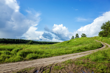 View of the forest, the countryside