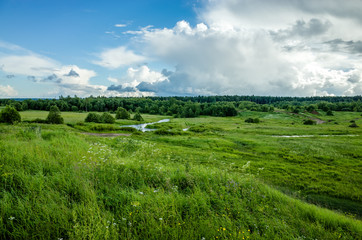 Forest on the horizon, view from the hill