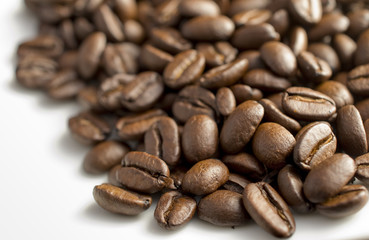 coffee beans on white background