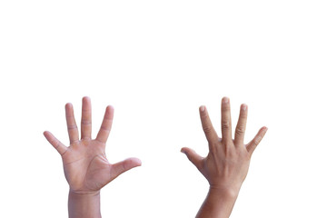 Back and front  hands isolated on white background.