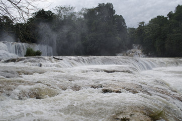 Cascadas de Agua Azul