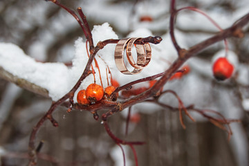 wedding rings on a winter background
