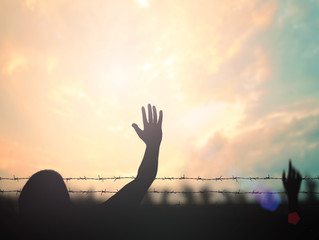 International migrants day concept: Silhouette refugee raising hands and rusty barbed wire over...