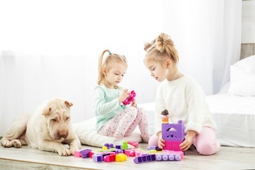 Educational toys for preschool and kindergarten child. Two children play toys. The dog is sitting. The concept of lifestyle, childhood, upbringing, family.