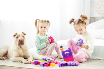 Two children play toys in the room. The dog is sitting. The concept of lifestyle, childhood, upbringing, family.
