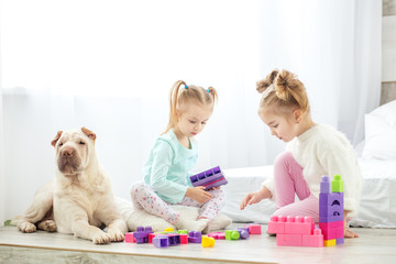 Two children play plastic toys blocks. Dog and girls. The concept of lifestyle, childhood, upbringing, family.