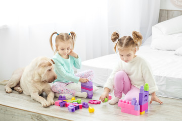 Two girls' children are played by plastic toys blocks. The dog lies. The concept of lifestyle, childhood, upbringing, family.