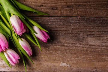 Pink tulips; on old wooden background.