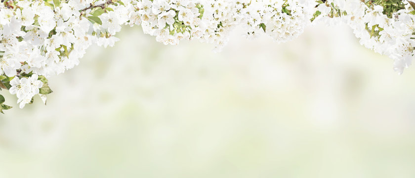 Der Fr&uuml;hling ist da!