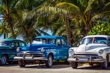 Amerikanischer Oldtimer parken in Linie unter Palmen in Varadero Kuba - HDR - Serie Cuba Reportage 