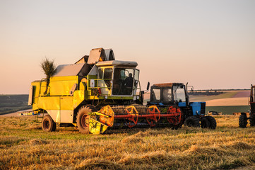 Fototapeta premium Combine Harvesters cutting wheat,