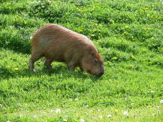 Wildlife Park