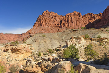 Canyon Wall Panorama in Spring