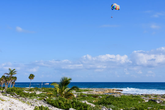 Landscape of a tropical beach with palm trees. Tourists parasailing in a blue sky.