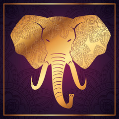 elephant mandala boho style vector illustration design