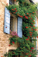 Fototapeta na wymiar Lourmarin (Vaucluse) Volets bleus et fleurs rouge, Luberon, Provence, France