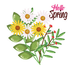 hello spring decorative design vector illustration art