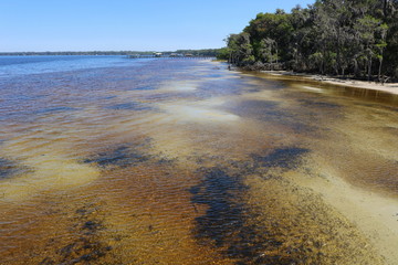 St. Johns River, Alpine Groves Park, St. Johns County, Florida