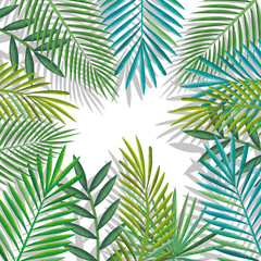 Fototapeta na wymiar tropical and exotic palms leafs vector illustration design