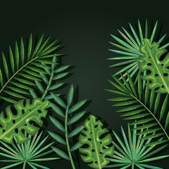 Naklejka na ściany i meble tropical and exotic palms leafs vector illustration design