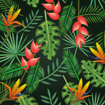 tropical and exotics flowers and leafs vector illustration design
