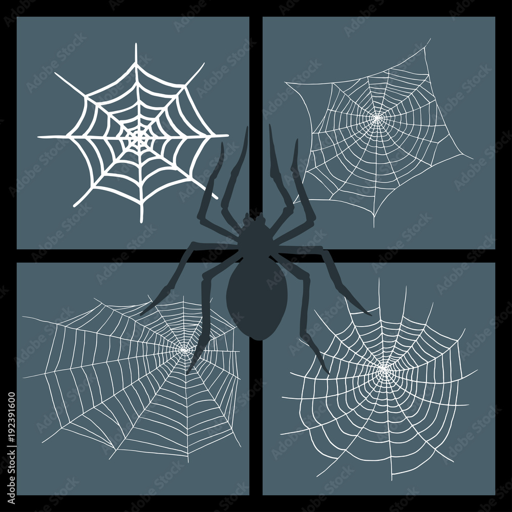 Canvas Prints spiders vector web silhouette spooky nature halloween element cobweb decoration fear spooky net. web