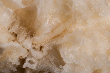 Abstract and art banana slice detail