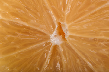 Abstract and art orange slice detail