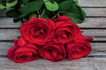 Red or scarlet bunch of roses with green leaves on background of rough wooden gray planks.