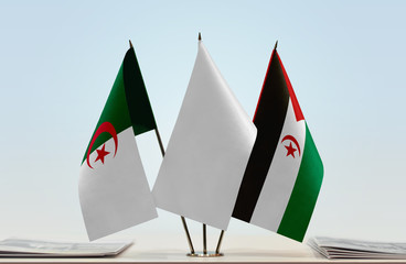 Flags of Algeria and Sahrawi Arab Democratic Republic with a white flag in the middle