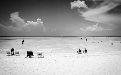 Black and White Island Landscape 