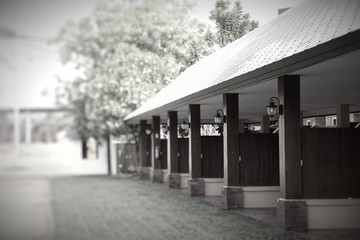 Grass on brick floor