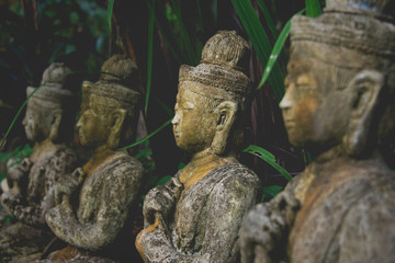 Row of Buddha Statues in Jungle