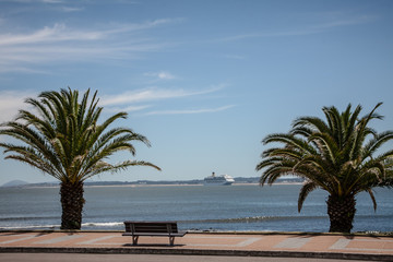 two trees, an empty bench facing the beach and a cruise ship in the background on a beautiful blue sky day