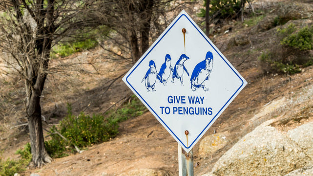 penguin warning road traffic sign in Granite Island, South Australia