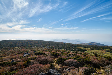 Naklejka premium The&nbsp;way&nbsp;up&nbsp;hallasan&nbsp;mountain,&nbsp;Jeju&nbsp;island,&nbsp;South&nbsp;Korea.