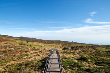 Fototapeta premium The&nbsp;way&nbsp;up&nbsp;hallasan&nbsp;mountain,&nbsp;Jeju&nbsp;island,&nbsp;South&nbsp;Korea.