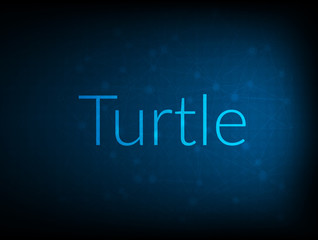 Turtle abstract Technology Backgound