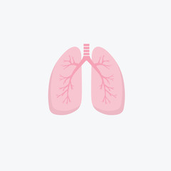 Flat design human lungs icon. Human internal organ. Anatomy concept. Respiratory system. Healthcare