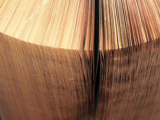 Macro view of book pages. Toned