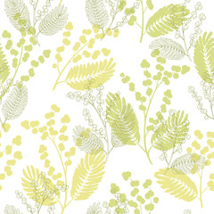 Mimosa graphic color sketch seamless pattern illustration vector