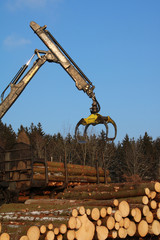 baumstämme werden abgeladen