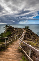 Trail leads down to the ocean with big clouds and a little blue sky