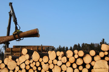 holzlager und kran