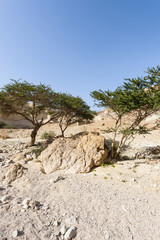 Stone desert in Israel