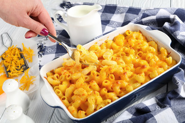 woman hand is holding a fork with Mac and cheese