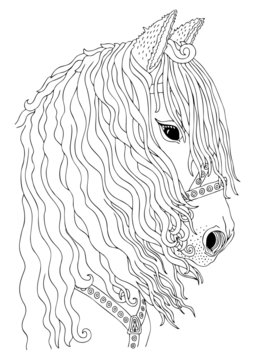 Hand drawn horse head. Sketch for anti-stress adult coloring book in zen-tangle style. Vector illustration for coloring page. 