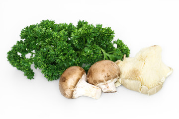 Pilzmischung