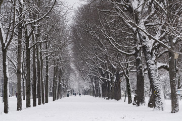 Cold winter day in a city, Paris