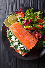 Delicious healthy food: salted salmon stuffed with spinach and cream cheese. Vertical top view